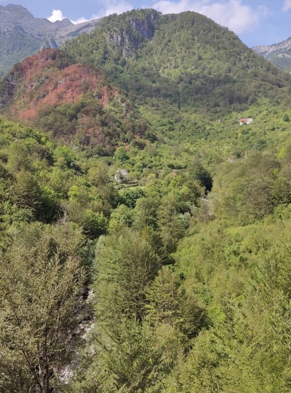 Hiking Tour to Thethi National Park