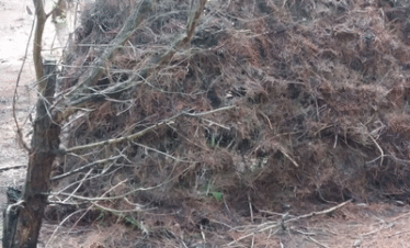 Survival Tour At Mali Me Gropa