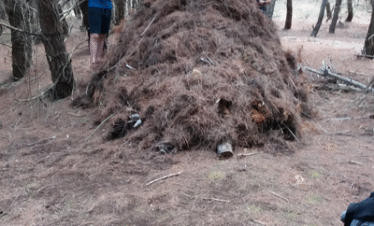 Survival Tour At Mali Me Gropa