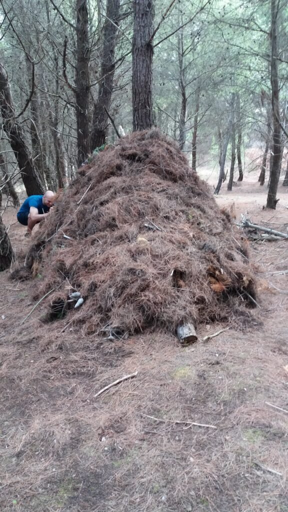 Survival Tour in Albania’s Wilderness
